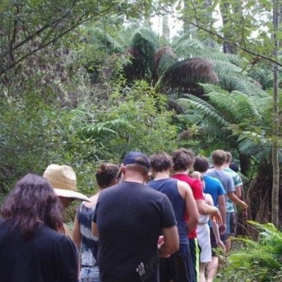 a group of people in a forest