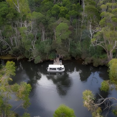 a river surrounded by trees
