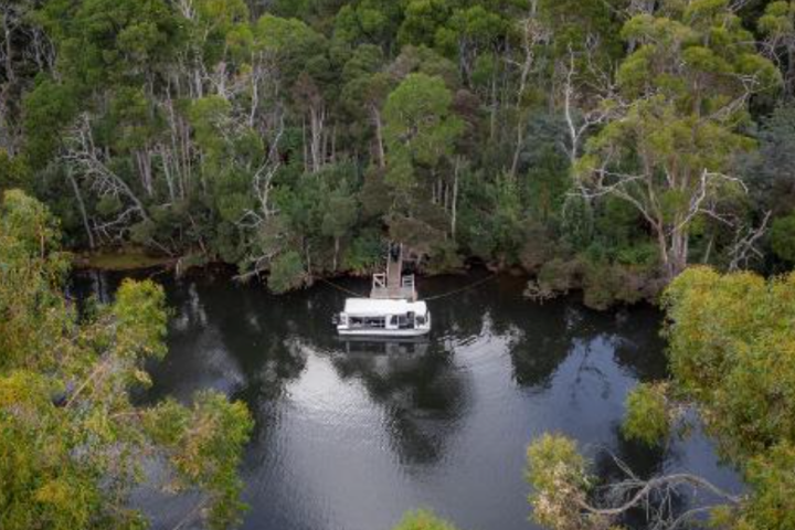 a river running through a forest